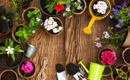 Gardening tools and flowers royalty free stock images Gardening tools and flowers royalty free stock images