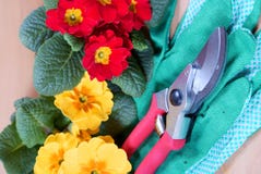 Gardening Tools With Flowers Stock Photography