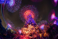 Gardens by the Bay at Night royalty free stock images Gardens by the Bay at Night royalty free stock images