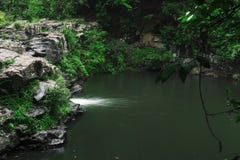 Gardners Falls in Maleny, Sunshine Coast Stock Photography Gardners Falls in Maleny, Sunshine Coast Stock Photography