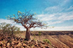 Garganta de Grootberg em Namíbia do norte tomada em janeiro de 2018 imagem de stock Garganta de Grootberg em Namíbia do norte tomada em janeiro de 2018 imagem de stock