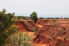 Garganta vermelha no deserto médio imagem de stock Garganta vermelha no deserto médio imagem de stock