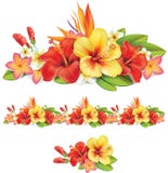 Garland Of Tropical Flowers Royalty Free Stock Images