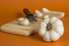 Garlic Royalty Free Stock Photography