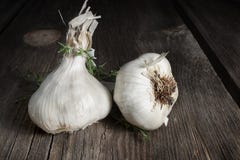 Garlic Bulbs Royalty Free Stock Photo Garlic Bulbs Royalty Free Stock Photo