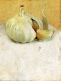 Garlic On A Grunge Background Stock Photo