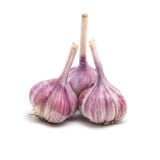 Garlic on a white background Stock Images Garlic on a white background Stock Images