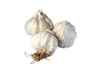 garlics stockbilder garlics stockbilder