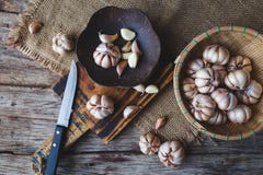 garlics lizenzfreie stockbilder garlics lizenzfreie stockbilder
