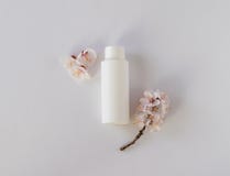Garrafa branca dos cosméticos do cuidado do corpo com configuração lisa aérea das flores fotografia de stock royalty free Garrafa branca dos cosméticos do cuidado do corpo com configuração lisa aérea das flores fotografia de stock royalty free