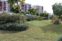 Garten mit Baumanlagen und -rasen stockfotografie Garten mit Baumanlagen und -rasen stockfotografie