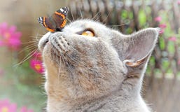 Gartenfreunde