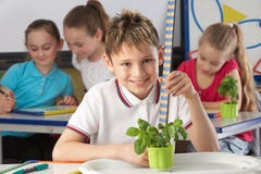 Garçon se renseignant sur des centrales dans la classe d'école photographie stock Garçon se renseignant sur des centrales dans la classe d'école photographie stock