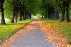 Gasse im Park Gasse im Park