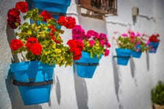 Gata med blommor i den Mijas staden, Spanien Royaltyfri Bild Gata med blommor i den Mijas staden, Spanien Royaltyfri Bild