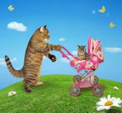 Gato com um pram imagem de stock Gato com um pram imagem de stock