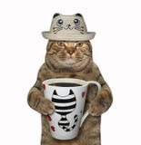Gato en un sombrero divertido con café foto de archivo libre de regalías Gato en un sombrero divertido con café foto de archivo libre de regalías