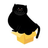 Gato gordo en la pequeña caja aislada Animal doméstico casero en caja de cartón Vector Fotos de archivo libres de regalías Gato gordo en la pequeña caja aislada Animal doméstico casero en caja de cartón Vector Fotos de archivo libres de regalías