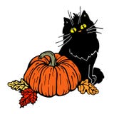 Gato negro y calabaza ilustración del vector Gato negro y calabaza ilustración del vector