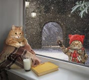 Gato no peitoril e em seu amigo imagem de stock Gato no peitoril e em seu amigo imagem de stock