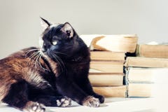 Gatto nero che si trova sulla tavola bianca, pila di vecchi libri su fondo immagine stock Gatto nero che si trova sulla tavola bianca, pila di vecchi libri su fondo immagine stock