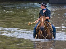 gaucho φεστιβάλ στοκ εικόνες gaucho φεστιβάλ στοκ εικόνες