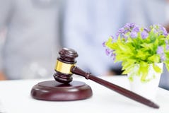 Gavel and dry flower on table. A hammer for judges to judge the stock photos Gavel and dry flower on table. A hammer for judges to judge the stock photos