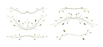 Gałąź gałązki projektanta sztuki różnego ulistnienia naturalne gałąź, liścia teksta strony divider elementów akwareli rocznicowy ilustracji Gałąź gałązki projektanta sztuki różnego ulistnienia naturalne gałąź, liścia teksta strony divider elementów akwareli rocznicowy ilustracji