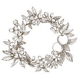 Gałąź jabłczany okwitnięcie Kwiecisty wianek Graficzna round granica royalty ilustracja Gałąź jabłczany okwitnięcie Kwiecisty wianek Graficzna round granica royalty ilustracja