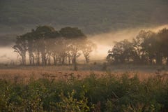Gebied en bos in de mist/de ochtend/de aard van het Verre Oosten van Rusland royalty-vrije stock afbeeldingen Gebied en bos in de mist/de ochtend/de aard van het Verre Oosten van Rusland royalty-vrije stock afbeeldingen