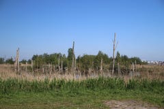 Gebied rond Zevenhuizerplas, een meer tussen Oud Verlaat en Rotterdam Nesselande stock fotografie Gebied rond Zevenhuizerplas, een meer tussen Oud Verlaat en Rotterdam Nesselande stock fotografie