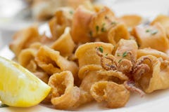 Gebratener Calamari lizenzfreie stockbilder Gebratener Calamari lizenzfreie stockbilder