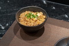 Gebratener Reis mit Knoblauch und Butter und dem Toping mit geschnittenem grünem O Stockbilder Gebratener Reis mit Knoblauch und Butter und dem Toping mit geschnittenem grünem O Stockbilder