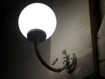 Gecko sous la lampe images libres de droits Gecko sous la lampe images libres de droits