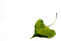 Gefallen lizenzfreies stockbild Gefallen lizenzfreies stockbild
