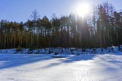 Gefrorener Frühlingsfluß mit einem Waldufer und einem hellen Sonnenschein, die durch die Niederlassungen scheinen Stockfotos Gefrorener Frühlingsfluß mit einem Waldufer und einem hellen Sonnenschein, die durch die Niederlassungen scheinen Stockfotos
