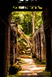Geheimzinnige ruïnes van de oude tempel van Preah Khan stock fotografie Geheimzinnige ruïnes van de oude tempel van Preah Khan stock fotografie