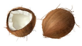 Gehele en half gebroken coconoot stock illustratie Gehele en half gebroken coconoot stock illustratie