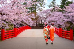 Geisha japonais avec la pleine floraison Sakura - Cherry Blossom au parc de Hirosaki au Japon images stock Geisha japonais avec la pleine floraison Sakura - Cherry Blossom au parc de Hirosaki au Japon images stock