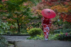 Geisha marchant en parc en automne photographie stock Geisha marchant en parc en automne photographie stock