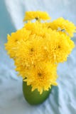Gelb blüht hrysanthemums in einem Vase auf einem blauen Hintergrund lizenzfreies stockbild Gelb blüht hrysanthemums in einem Vase auf einem blauen Hintergrund lizenzfreies stockbild