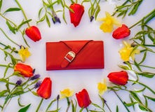 Geldbörse mit Tulpen auf weißem Hintergrund lizenzfreies stockfoto Geldbörse mit Tulpen auf weißem Hintergrund lizenzfreies stockfoto