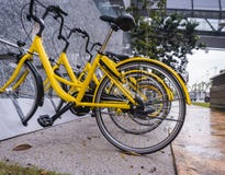 Gele Fiets voor Huur stock foto Gele Fiets voor Huur stock foto