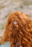 Gelocktes rotes Haar mit wei?er Bl?te, hintere Ansicht stockfotos Gelocktes rotes Haar mit wei?er Bl?te, hintere Ansicht stockfotos