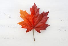 Gelukkig van de de Dag rood zijde van Canada de esdoornblad stock afbeelding Gelukkig van de de Dag rood zijde van Canada de esdoornblad stock afbeelding