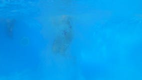 Gelukkige vrienden op de zomervakantie, bedrijf van jonge meisjes in Opblaasbare ringen die en pret in pool ontspannen hebben bij stock footage Gelukkige vrienden op de zomervakantie, bedrijf van jonge meisjes in Opblaasbare ringen die en pret in pool ontspannen hebben bij stock footage
