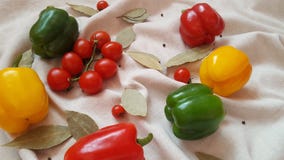Gemüsepaprika von verschiedenen Farben, von Tomaten und von Lorbeerblatt lizenzfreie stockfotografie Gemüsepaprika von verschiedenen Farben, von Tomaten und von Lorbeerblatt lizenzfreie stockfotografie