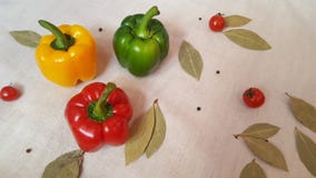 Gemüsepaprika von verschiedenen Farben, von Tomaten und von Lorbeerblatt lizenzfreie stockbilder Gemüsepaprika von verschiedenen Farben, von Tomaten und von Lorbeerblatt lizenzfreie stockbilder