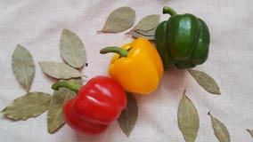 Gemüsepaprika von verschiedenen Farben und von Lorbeerblättern lizenzfreie stockfotografie Gemüsepaprika von verschiedenen Farben und von Lorbeerblättern lizenzfreie stockfotografie