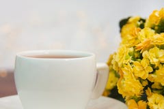 Gemütliche Frühlingsatmosphäre mit Kaffee- oder Teeschale lizenzfreie stockbilder Gemütliche Frühlingsatmosphäre mit Kaffee- oder Teeschale lizenzfreie stockbilder